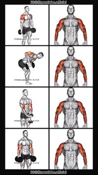 ✅ How to Build Bigger Arms and Shoulders   ① Lateral Raise  ② Kick Back ③ Waiter Curl ④ Reverse Curl 3 sets 12 reps   #fitness #gym #exercise  #workout #workoutroutine  #exercisetips  #fitnesstips  #bodybuilding  #armworkout  #armday