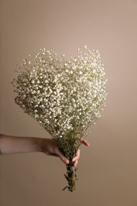 Wholesale Dried Flowers for your small creative business! `DriedGypsophila` otherwise known as `Dried Baby's breath flowers`. 40-45 CM Length 50-60 Gram Make sure to keep your Dried Gypsophila out of direct sunlight, keep them upright and refrain from getting them wet/damp. This will preserve them to make them last longer. Wholesale dried flowers are for Indoor Use only. Do not clean stems with water, just lightly dust and they will last a long time.