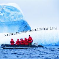 From spotting penguins in #Antarctica to cruising the fjords of #Norway, these are the dream trips to add to your bucket list.