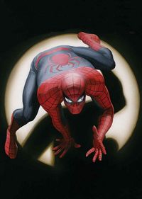 Spider-Man by Alex Ross