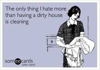 24 Funny Pictures About Spring Cleaning