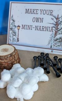 A Magically Awesome Narnia Inspired Party – Easy & Inexpensive Ideas – Frolicking Fox Cubs