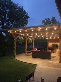 I'm in love with my pergola!