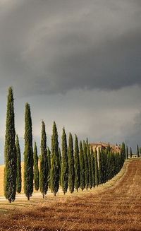 Toscana