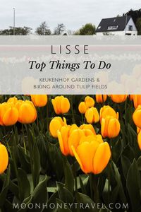 Lisse Travel Guide - Top things to do in Lisse, The Netherlands