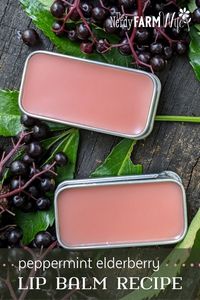 Learn to make elderberry lip balm by infusing dried elderberries, along with alkanet root for a soft color. Peppermint essential oil adds all natural flavor. Printable labels included!