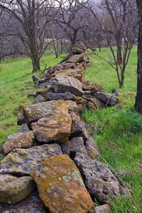 Dry stacked stone fence