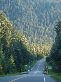 Late August light on North Douglas Island, Juneau, Alaska