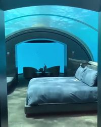 Enjoy the magnificent marine life and crystal clear ocean waters of the Maldives from the comfort of your luxurious hotel room at the Conrad Maldive's Muraka. This underwater hotel is truly a unique experience that will complement your experience in the tropical paradise. #besttraveldestinations #bucketlistidea #maldives #tropical #luxuryhotel #travelideas #traveldestinationideas #travelguide #besttravelguides #underwaterhotel