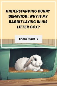 Discover the answer to the question "Why is my bunny laying in his litter box?" with our helpful tips and advice. Understand your furry friend's behavior and find out if there's a reason behind it. Learn how to create a comfortable environment for your bunny and ensure their well-being. Explore our blog for expert guidance on bunny care, litter box training, and more. Enhance your knowledge about rabbits and provide them with the best care possible.