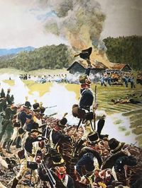 Swedish line infantry firing at Norwegian Jaegers 1808.