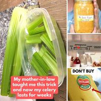 Making groceries last longer and... - Things You Need To Know