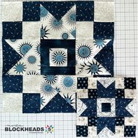 BH5 – Group 2, Block 3 – April Rosenthal | modafabrics.com