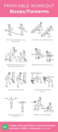 Biceps/Forearms: my visual workout created at WorkoutLabs.com Click through to customize and download as a FREE PDF! #customworkout #upperbodyworkout #upper #body #workout #machines