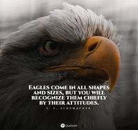 60+ Eagle Quotes And Sayings - QUOTEISH