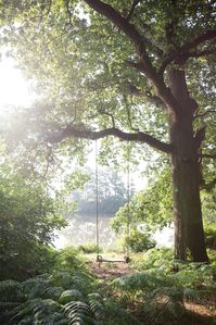 A Garden Worth the Wait: Heckfield Place in Hampshire, England - Gardenista