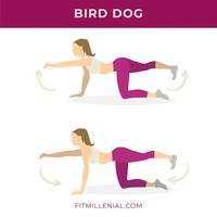 20 mins full body workout - Bird dog