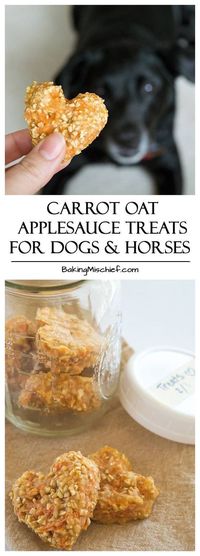 Treat recipe for dogs....Maybe my dog will let me try one :-)