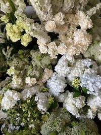 white modern wedding flowers with all of the best including delphinium, roses, hydrangea, queen anne's lace, carnations, veronica and more