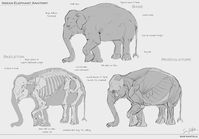 Mooslephant (&Studies) by Sam Santala | Creatures | 2D | CGSociety