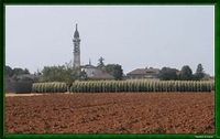 san guiliano vecchio alessandria - Yahoo Image Search results