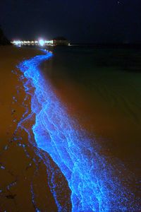 Will Ho (Taiwanese, Kaohsiung, Taiwan) - Maldives‎ Blue Sand (Bioluminescent Microorganisms), 2013 Photography