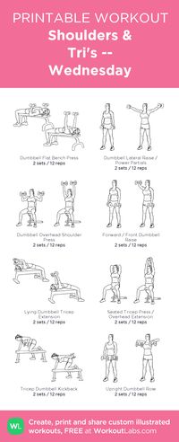 Shoulders & Tri's -- Wednesday: my visual workout created at WorkoutLabs.com • Click through to customize and download as a FREE PDF! #customworkout