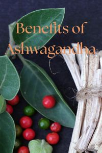 Ashwagandha, often called Indian Ginseng, is a powerful adaptogen known for reducing anxiety through lowering cortisol levels. By calming the nervous system, it helps you sleep better and feel more relaxed. This herb also fights inflammation linked to diabetes, boosts cognition, and can even increase testosterone levels. Even some athletes use it to boost their performance. By mixing it with turmeric it becomes a synergistic supplement that you will love. Definitely a natural way to support your health and well-being!