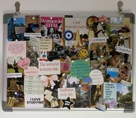 Collage vision board #visonboard #womeninstem #manifestation #healthyliving #student