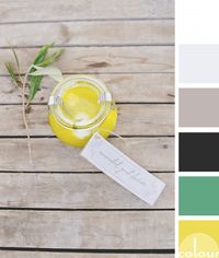 bright yellow party favor on weathered wood, color palettes, color combinations, color schemes, color ideas, color inspiration, colour eclipse, bright yellow, pantone meadowlark, kelly green, jade green, emerald green, warm black, taupe, taupe gray, cool gray, warm white