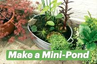 Difficulty: Medium

Water adds a new dimension to any garden and our pond-in-a-pot is the ideal place to grow miniature waterlilies and other small aquatic plants. This idea is quick and easy to make and requires minimal care.

Tin bath, or other large container

Waterproof sealant

Bricks (six)

Medium planting baskets (three)

Aquatic compost (4l)

Assorted aquatic plants (six)

Oxygenating plants (two)

Washed pea gravel

Large feature stone, a little taller than the height of the container

