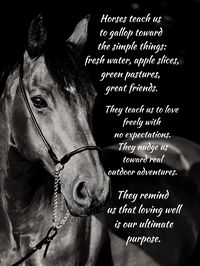 Original 8x10 print to celebrate precious horses! Great gift idea! Suitable for framing!