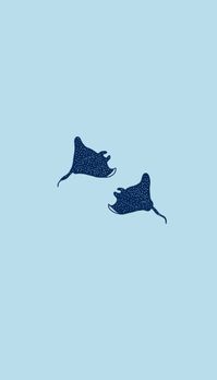 #stingrays #wallpaper #aestheticwallpaperiphone #oceanlife #iphonewallper#iphone#ipad #boho#trendy