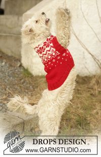 Free Norweigian Snowflake dog jumper pattern - LoveKnitting Blog