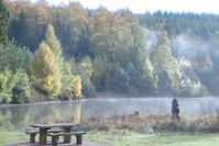 The Forest of Dean and Wye Valley 35 Square miles of beautiful woodland to enjoy & explore on foot boke or horse.