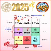 The 2025 year of the snake Flying Star Feng Shui and afflictions