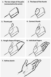 Drawing humans [5/?]: Hands quadpen @espeon132 Ah yes, hands are notoriously difficult to draw. I’ll do what I can to help! First off, below is a diagram of how I usually invision the shapes that make...