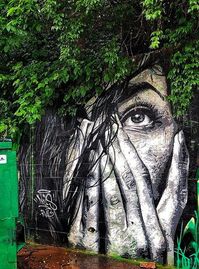 Street art — уличное искусство.