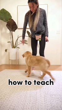 No more bad habits – just an obedient dog you've always dreamed of!✨🐶 Click on the link in the bio to start the journey to a well-behaved, happy pup.🤗🐕 #dog #dogtraining #pet #dogowner #dogtrainingtips #dogs #dogging #dogvideos #dogfunny #dogpet #dogdogs #dogvideo #dogsvideo #dogcute #doglover #doglove #dogrun #doglovee #dogpets 🐶✨️