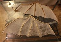 Bat Wings - Vampire Queen Costume Tutorial For Halloween — Steemit