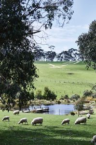 You can stay here: Hillside haven in Victoria's Mornington Peninsula