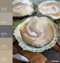 50 Shades of Oyster