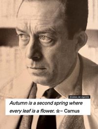 #camus #literature #quotes#autumn