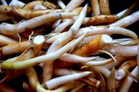 Cattail roots and young shoots. Raw, pickled and cooked like potatoes.