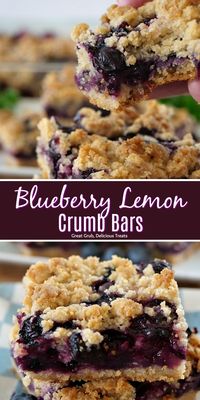 Blueberry Lemon Crumb Bars are super delicious, loaded with fresh blueberries and is a perfect summer dessert.