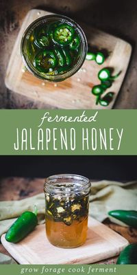 Fermented jalapeño honey is a perfect way to spice up your life while boosting your immune system at the same time! Jalapeños and raw honey both have health and medicinal benefits, and now is a great time to access them in this deliciously spicy natural ferment. You're going to love this fermented jalapenos recipe! Fermented Honey Recipes | Honey Fermenting | Raw Honey Recipe