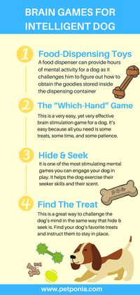 There are a wide variety of games that a dog owner can play with their dog to promote their brain development. Here are a few ideas for especially useful and effective brain games you can play with your dog to help boost its intelligence and mental acumen. Click the link.