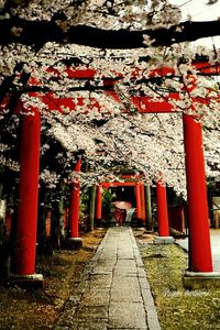 Ici on passe sur un pont, sous un tunnel de fleur mais ses passages mènent toujours à une surprise toujours aussi belle