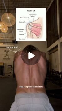 Jake Blundell on Instagram: "Stop doing the same old rotator cuff exercises 👇🏾 

You probably think that doing the same old exercises will be causing huge benefit.. while these exercise do have a place, you’ve probably been doing them for far too long with out progressing and tracking the gains the way you should.. you could be plateauing in your rotator cuff gains. So switch  it up with this insane move!

Try this exercise: Incline bench DB Y raise! 

#ShoulderWorkout #RotatorCuffStrength #ShoulderHealth #FitnessTips #ShoulderStability #PostureCorrection #ScapularStabilization #ShoulderInjuryPrevention #FitnessRoutine #StrengthTraining #WorkoutMotivation #HealthyShoulders #GymLife #FitLifestyle #ExerciseTips #FunctionalFitness #UpperBodyStrength #ResistanceTraining #FitnessGoals #Workou