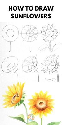 How to draw flowers step by step for beginners | how to draw flowers watercolor pencil | how to draw flowers realistic easy sketches #howtodraw #howtodrawflowers #artisthue